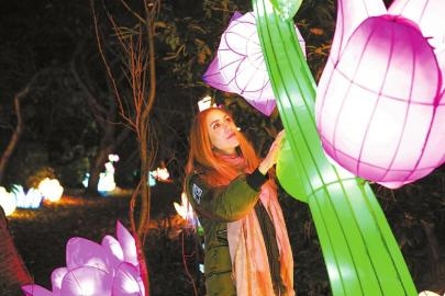 自贡彩灯欲“点亮”灯饰照明产业链(图2) 自贡彩灯欲“点亮”灯饰照明产业链(图2)