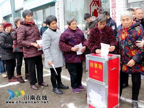 龙马潭区：公民依法行使选举权，补选人大代表(图3)