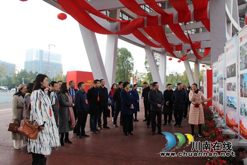 龙马潭区红星街道组织人大代表、政协委员开展视察调研活动(图1)