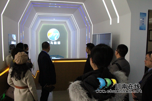 龙马潭区红星街道组织人大代表、政协委员开展视察调研活动(图2)