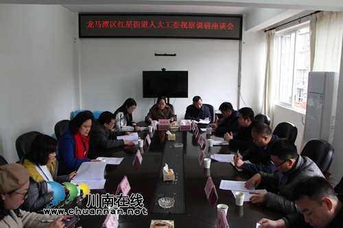 龙马潭区红星街道组织人大代表、政协委员开展视察调研活动(图4)