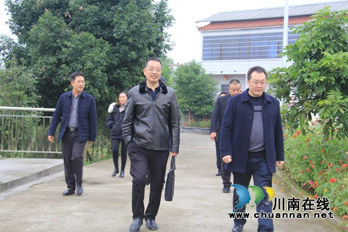泸县云龙镇乡村振兴示范创建完成市级现场迎检(图1)