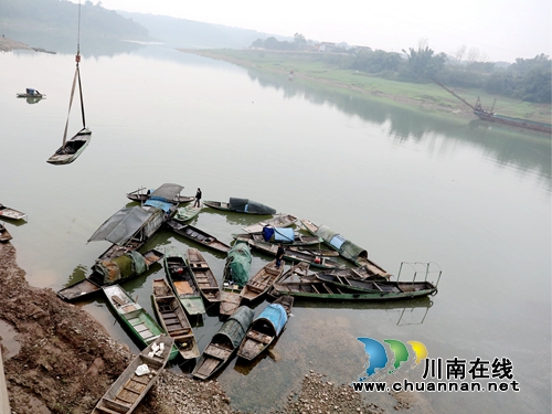 龙马潭：集中报废禁捕渔船&nbsp;全面禁止生产性捕捞(图5)