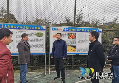 纳溪法院党组书记吴江到大渡口镇调研指导工作(图1)