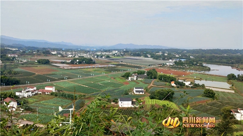 鼓钹齐鸣 泸州江阳区奏响乡村振兴“三部曲”(图1) 鼓钹齐鸣 泸州江阳区奏响乡村振兴“三部曲”(图1)