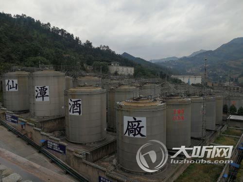 打造千亿白酒产业 泸州酒业已做好准备(图2) 打造千亿白酒产业 泸州酒业已做好准备(图2)