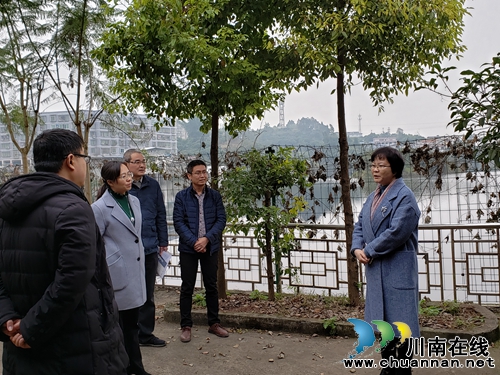 县委常委、宣传部部长陈佳到潮河镇督导当前重点工作(图1)