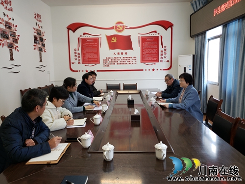 县委常委、宣传部部长陈佳到潮河镇督导当前重点工作(图2)