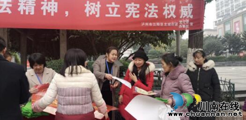 泸州市江阳区北城街道人大工委开展“国家宪法日”普法宣传活动(图2)