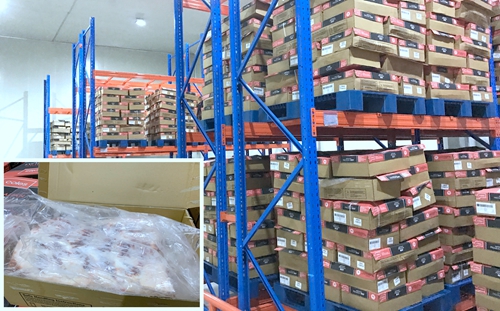 大胆试&nbsp;大胆闯&nbsp;临港片区创新忙(图4)