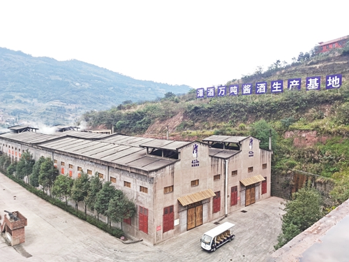 龙头带&nbsp;金花帮&nbsp;千亿目标泸酒香(图6)