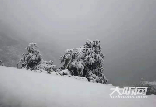泸州山区迎降雪&nbsp;高速交警奋战在一线保畅通(图1)