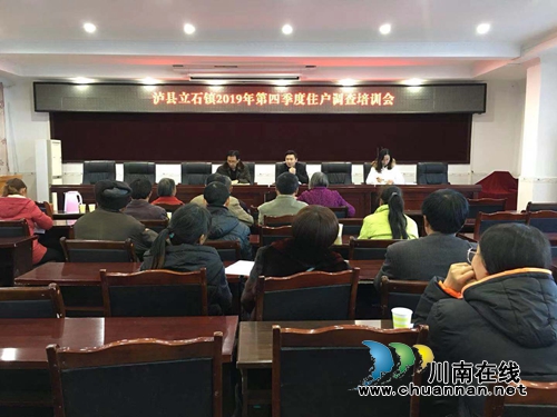 泸县立石镇召开2019年第四季度住户调查培训会(图1)