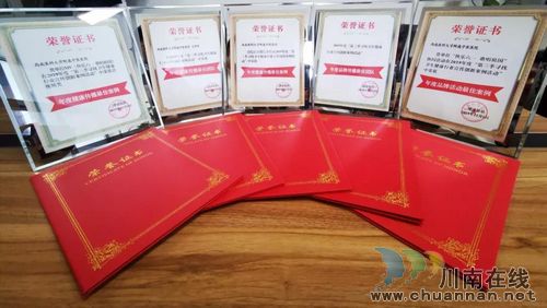 西南医大中医院：抱回6项全国大奖！(图12)