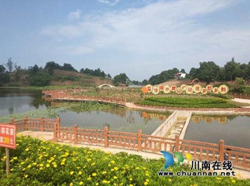 2019年，泸州市成功打造了一批省级特色小镇(图1)