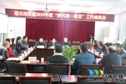 龙马潭区莲花池街道：“两代表一委员”视察活动助力街道发展(图1)