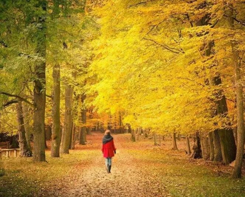 【关注】生命尽头,他竟这样离去?(图2) 【关注】生命尽头,他竟这样离去?(图2)