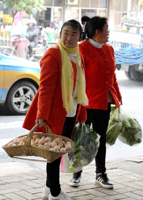 乌蒙山区脱贫户的“特别礼物”(图3)