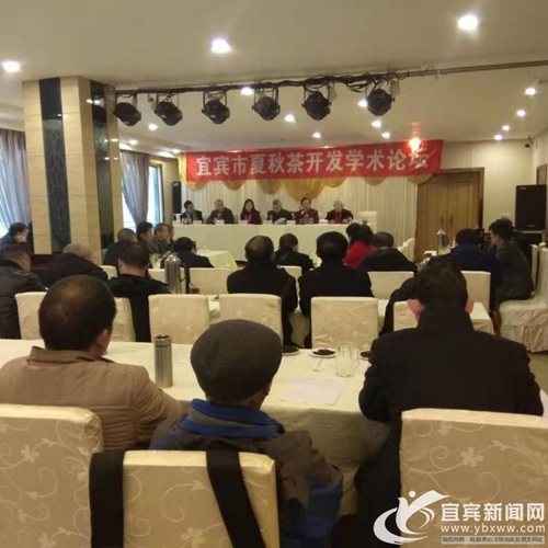 宜宾小微茶企如何开发夏秋茶？省专家支招献策(图1)