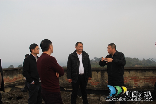 泸州市副市长薛学深带队调研指导云龙镇农业产业规划和乡村振兴发展(图2)