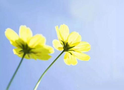 男友提出分手！泸州一女子23岁便割腕自杀(图2)