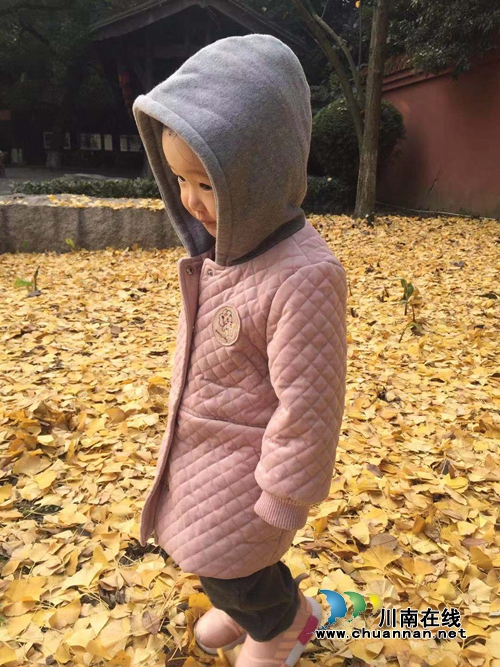 陈大刚:小荷已露尖尖角——外孙女两岁散记(图15) 陈大刚:小荷已露尖尖角——外孙女两岁散记(图15)