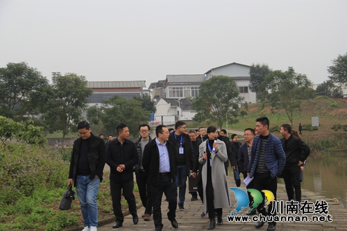 泸县云龙镇乡村振兴示范创建完成省级现场迎检(图1)