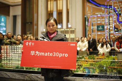 泸州西城•青云台盛世开盘(图18)