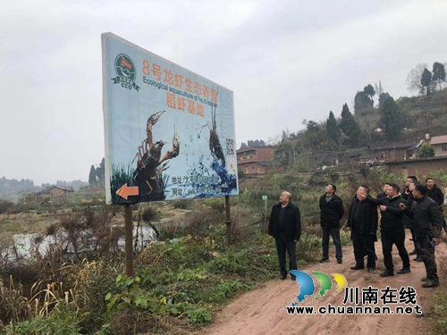 合江县神臂城镇到内江市太平镇调研稻虾产业(图1)