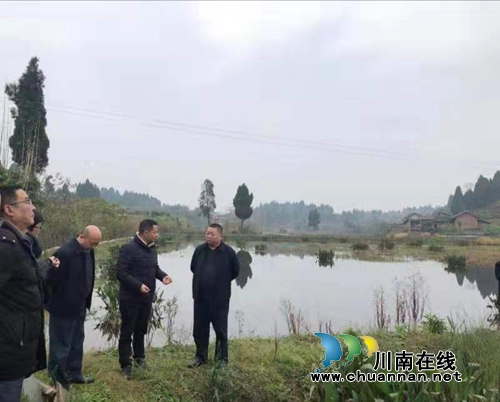 合江县神臂城镇到内江市太平镇调研稻虾产业(图2)