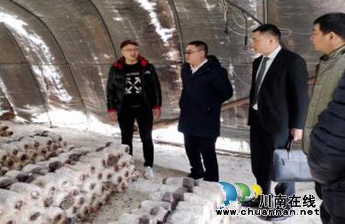 泸县看望慰问南京泸县籍企业家和农民工(图1)