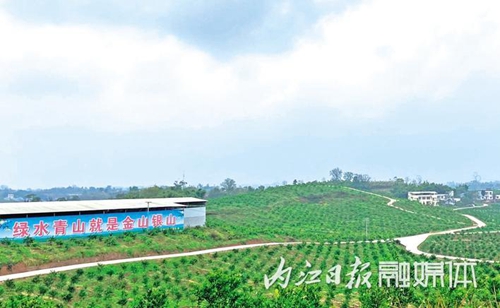 内江公路总里程12666公里&nbsp;公路密度居全省第一(图1)