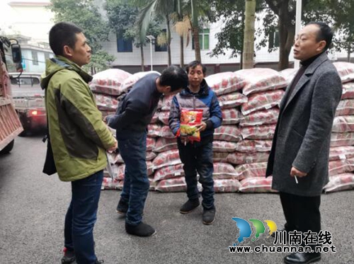 宜宾南溪区长兴镇：春耕生产备起来！