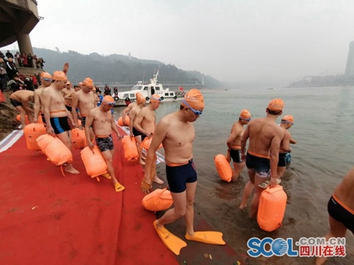 全国1600余名冬泳爱好者宜宾横渡长江迎新年(图1)