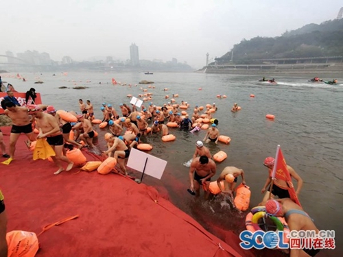 全国1600余名冬泳爱好者宜宾横渡长江迎新年(图2)