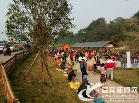 宜宾乡村振兴工程&nbsp;打造现代版“富春山居图”(图1)