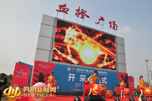 内江：欢天喜地庆元旦&nbsp;资中血橙喜开采(图1)