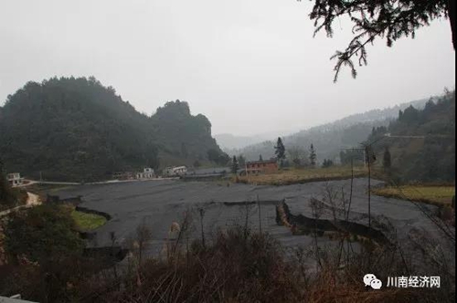 古蔺护家镇撒钱&nbsp;阳明凹园区农户分红20多万(图6)