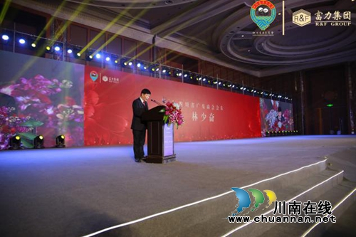 新年再进百尺竿！四川广东商会举行迎春团拜会(图9)