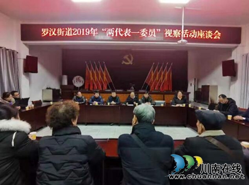 罗汉街道：召开2019年“两代表一委员”视察活动座谈会