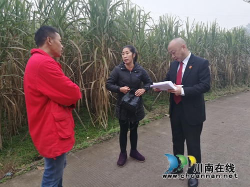 纳溪法院司法大拜年：年味渐浓，看八旬翁喜开颜