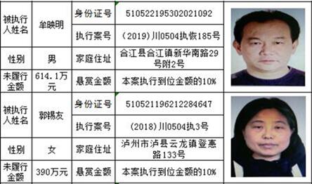 龙马潭法院发布悬赏公告:总金额高达800万!(图5) 龙马潭法院发布悬赏公告:总金额高达800万!(图5)