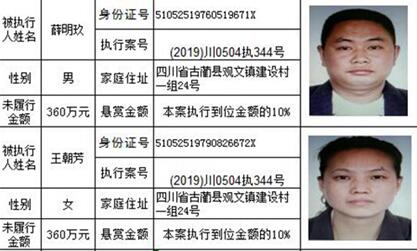 龙马潭法院发布悬赏公告:总金额高达800万!(图7) 龙马潭法院发布悬赏公告:总金额高达800万!(图7)
