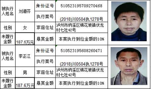 龙马潭法院发布悬赏公告:总金额高达800万!(图12) 龙马潭法院发布悬赏公告:总金额高达800万!(图12)