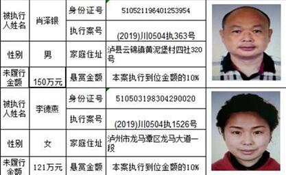 龙马潭法院发布悬赏公告:总金额高达800万!(图14) 龙马潭法院发布悬赏公告:总金额高达800万!(图14)