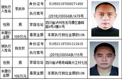 龙马潭法院发布悬赏公告:总金额高达800万!(图16) 龙马潭法院发布悬赏公告:总金额高达800万!(图16)