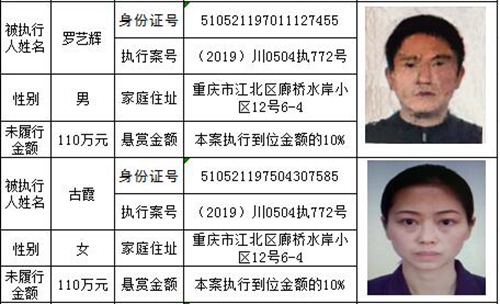 龙马潭法院发布悬赏公告:总金额高达800万!(图18) 龙马潭法院发布悬赏公告:总金额高达800万!(图18)