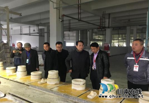 泸州市市场监管局副局长徐云刚率队到合江开展“两节”安全生产检查