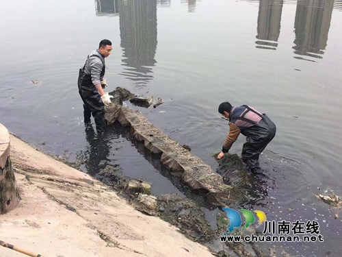 龙马潭区小市街道开展渔网清理整治工作(图1)