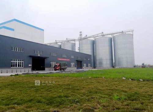 聚焦重点项目丨合江，手握乡村振兴“密码”(图3)